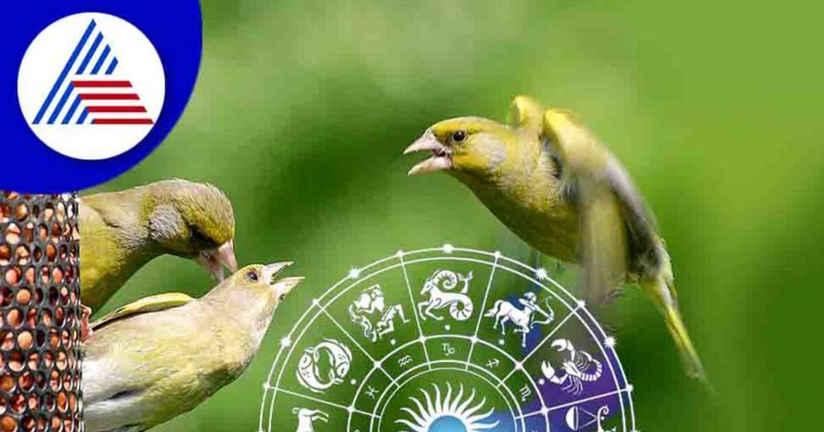 ಹಕ್ಕಿಗಳಿಗೆ ಆಹಾರ ನೀಡಿ ಅದೃಷ್ಟ ಹೆಚ್ಚಿಸ್ಕೊಳೋದು ಹೇಗೆ?