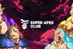 The Super Apes Club - an Ape NFT Community with a Difference-vpn