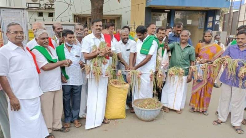 Onion Farmers are worried as small onions are being sold too cheaply petition to coimbatore collectorate 