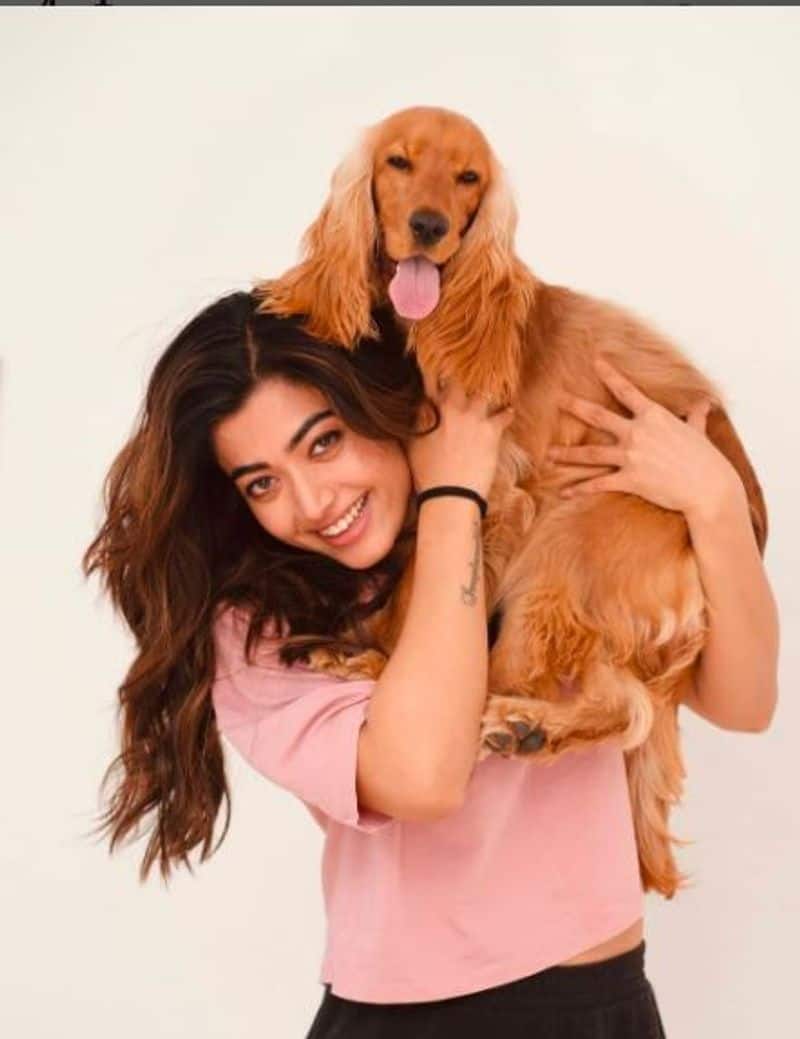 Rashmika Mandanna vs Yash: Actress once called KGF star 'show off'; know what happened next RBA