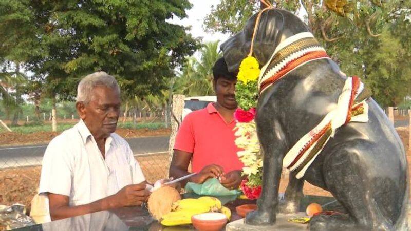TN 82 yo man built statue of his dog Tom in Sivagangas Manamadurai