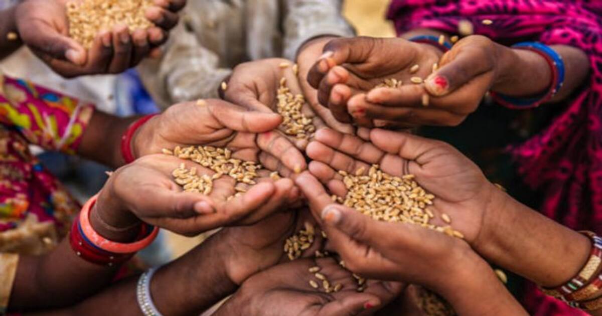 pmgkay scheme:  இலவச ரேஷன் திட்டம் செப்டம்பருக்கு பிறகு இல்லையா?  செலவீனத்துறை மத்திய அரசுக்கு எச்சரிக்கை