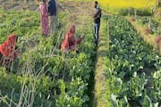 Himachal Pradesh Women farmers are Scripting Success Stories in Sustainable Farming