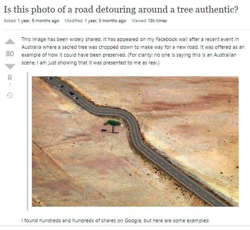 Contractor Saved tree from being cut by winding road viral claim on social media is fake mnj