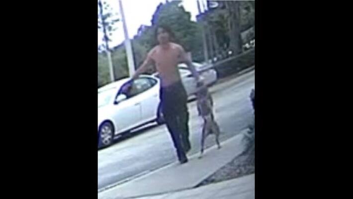 Robber with a dog attacked senior citizen at ATM Robber with a dog attacked senior citizen at ATM
