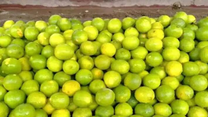 Lemon price raised in china after massive Covid 19 outbreak to boost their natural immunity ckm Lemon price raised in china after massive Covid 19 outbreak to boost their natural immunity ckm