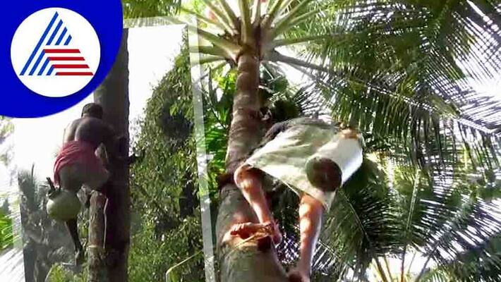 Udupi News Increasing demand for allow Shendhi in all over Karnataka News Udupi News Increasing demand for allow Shendhi in all over Karnataka News