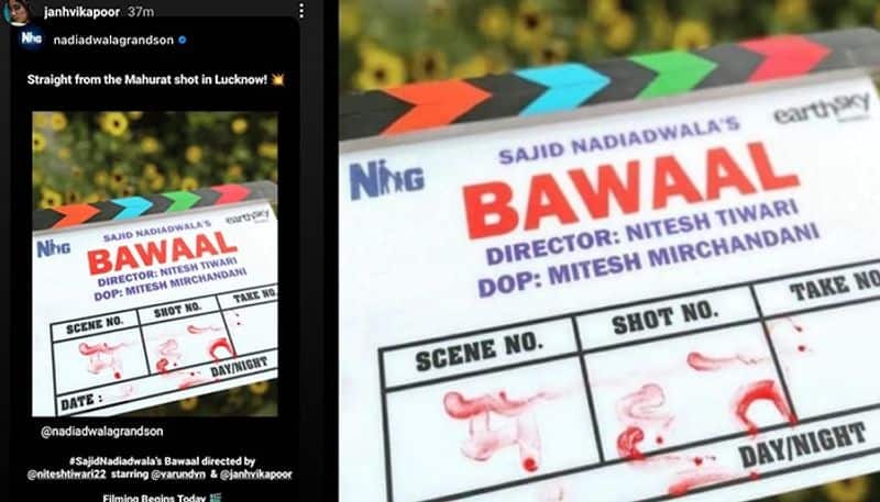 Filming for Janhvi Kapoor's Bawaal begins drb