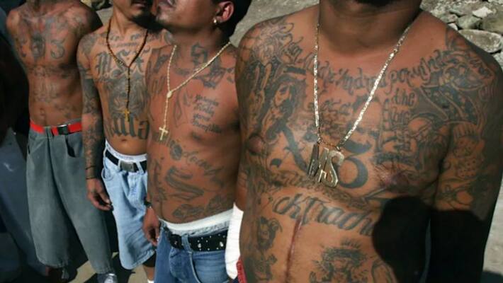 Seven MS 13 gang members charged in deaths of Inmates at Prison in US Seven MS 13 gang members charged in deaths of Inmates at Prison in US