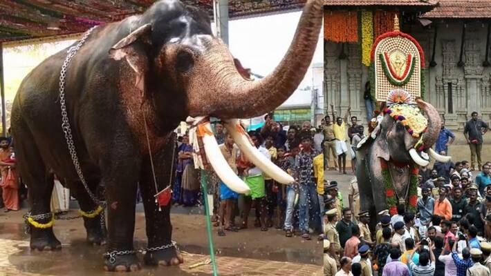 Ernakulam Ramachandran to Attend Thrissur pooram opening ceremony Ernakulam Ramachandran to Attend Thrissur pooram opening ceremony