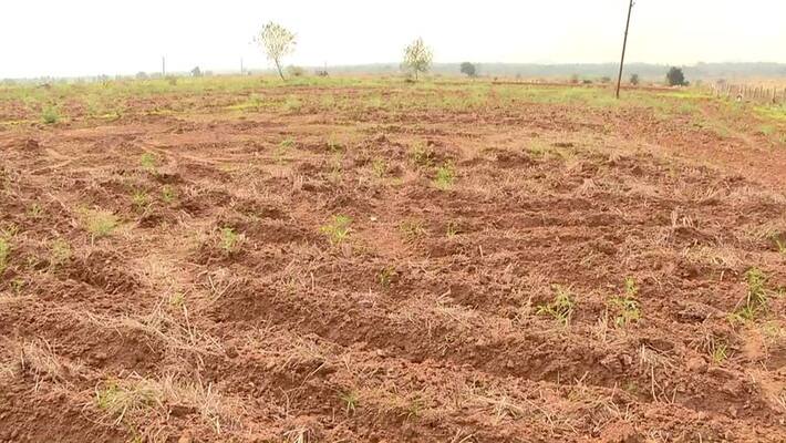 Three Suspend For Misuse of Government Land at Raibag in Belagavi grg Three Suspend For Misuse of Government Land at Raibag in Belagavi grg
