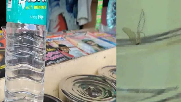Dead mosquito in a Bisleri drinking bottle in dharmapuri Dead mosquito in a Bisleri drinking bottle in dharmapuri