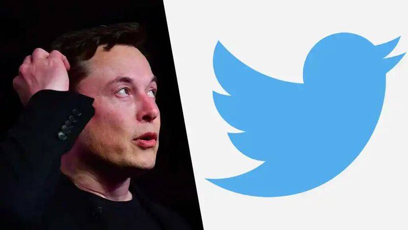 elon musk : Elon Musk sued by Twitter investors for delayed disclosure of stake