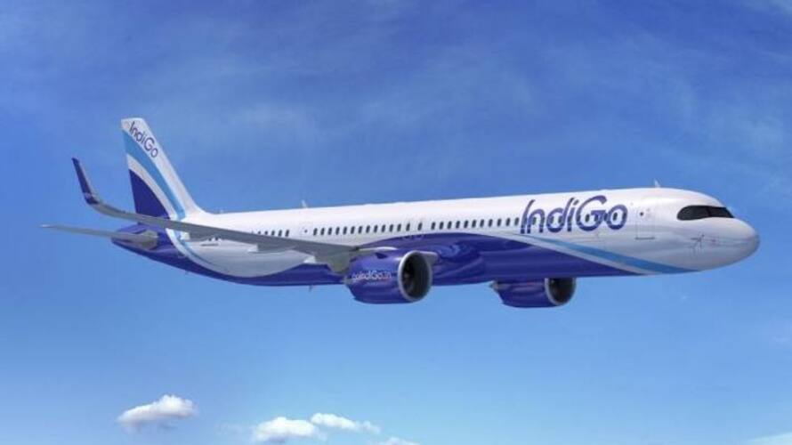 IndiGo Passenger Tried To Remove Emergency Exit Cover Mid Air IndiGo Passenger Tried To Remove Emergency Exit Cover Mid Air