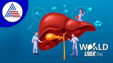 World Liver Day 2024: What is Fatty Liver? Know about non-alcoholic fatty liver disease among young adults RBA
