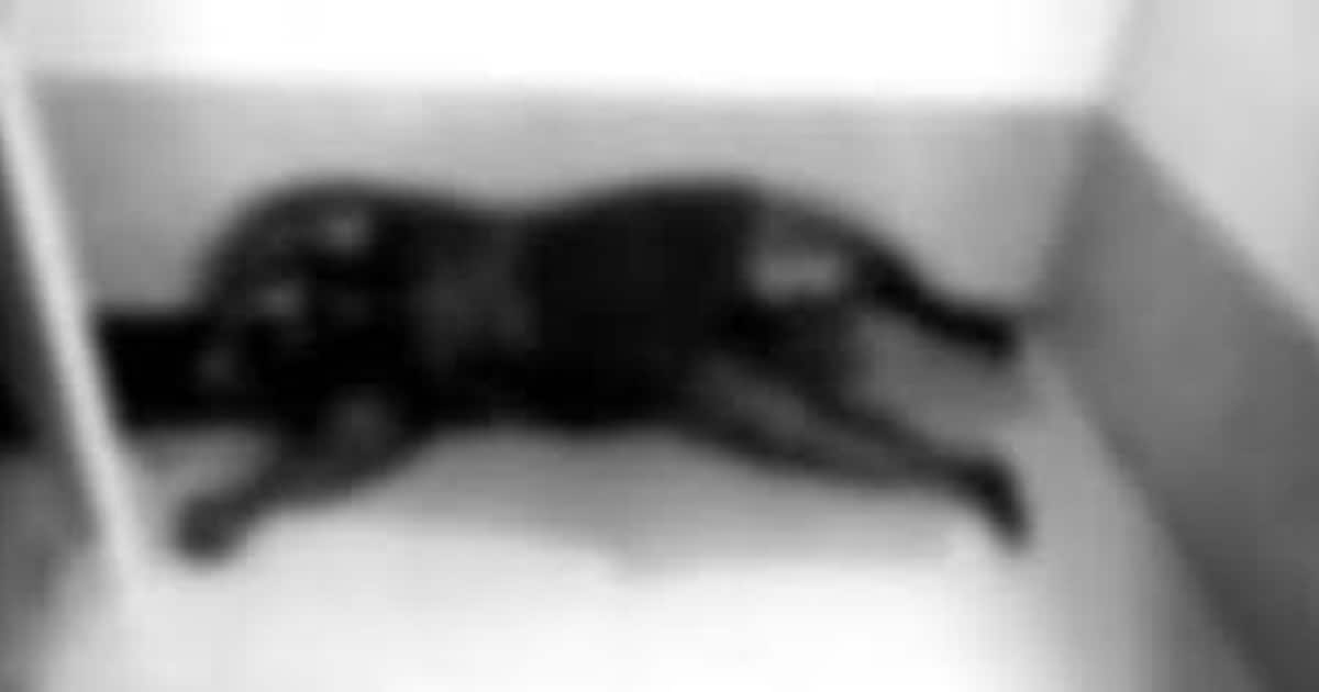 அரசு மருத்துவமனையில் அதிர்ச்சி சம்பவம் ..ஆப்ரேஷன் தியேட்டரில் கிடந்த ம்ர்ம சடலம்.. விசாரணையில் பகீர்..