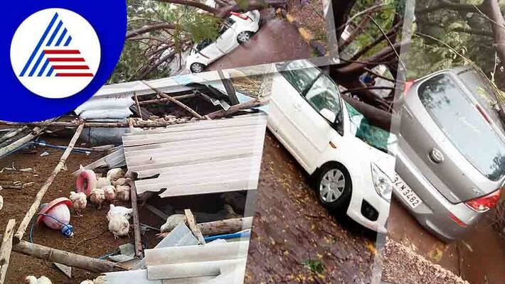 Untimely rains lash in Ballari gow Untimely rains lash in Ballari gow