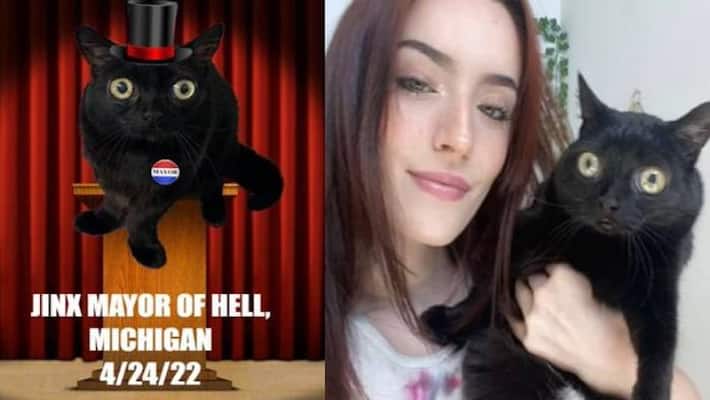 cat jinx is named for mayor of Hell cat jinx is named for mayor of Hell