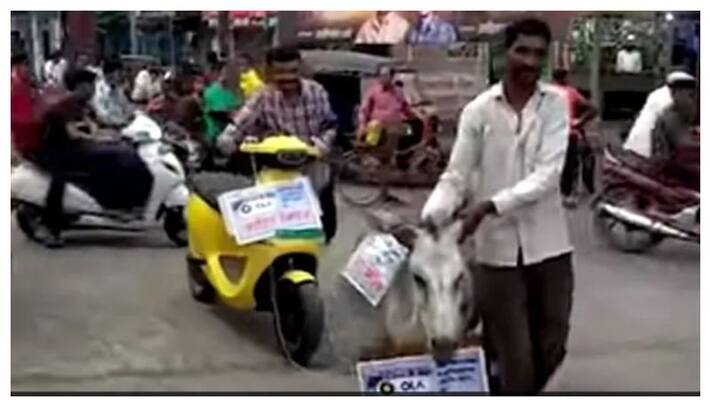 Man Ties Ola Scooter To Donkey, Parades It Around Town as a protest Man Ties Ola Scooter To Donkey, Parades It Around Town as a protest