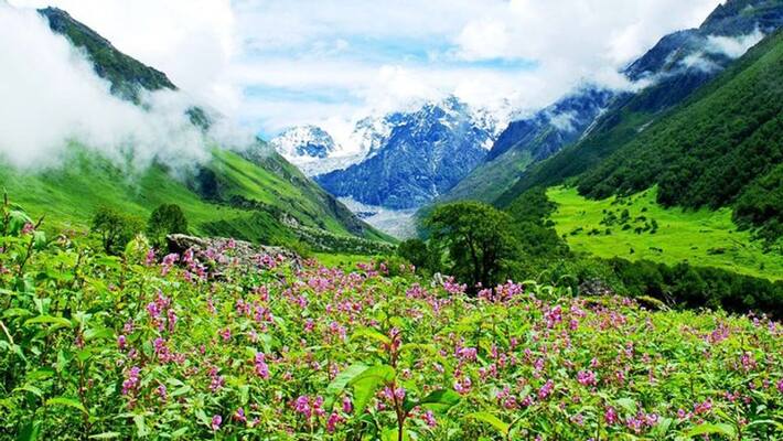 Cracks in the trek route, the Valley of Flowers in Uttarakhand has been closed bsm Cracks in the trek route, the Valley of Flowers in Uttarakhand has been closed bsm