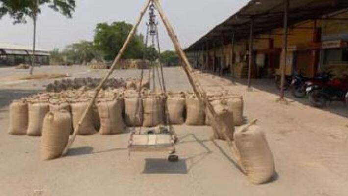 aligarh silence spread at government purchasing centers farmers selling wheat to private people aligarh silence spread at government purchasing centers farmers selling wheat to private people