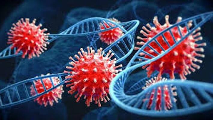 Minister Ma.Subramanian warns - BA.4, BA.5 variant coronavirus spreading fast in Tamil Nadu - Minister Ma.Subramanian warns - BA.4, BA.5 variant coronavirus spreading fast in Tamil Nadu -