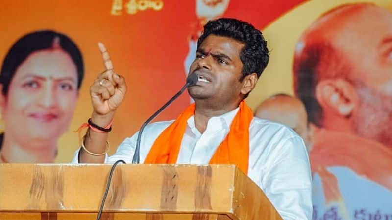 tamilnadu bjp leader annamalai slams dmk government