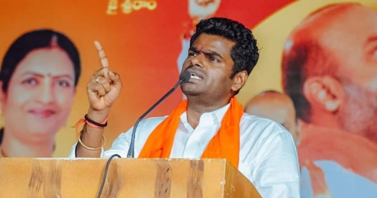 என் அப்பா செய்தது தவறு என்று ஸ்டாலின் மன்னிப்பு கேட்கட்டும்.. நானே அறிவாலயம் வருகிறேன்.. அண்ணாமலை அதிரடி. 