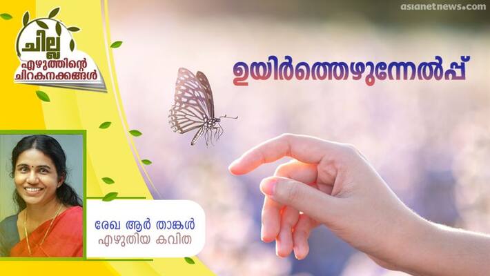chilla malayalam poem by Rekha R Thangal chilla malayalam poem by Rekha R Thangal