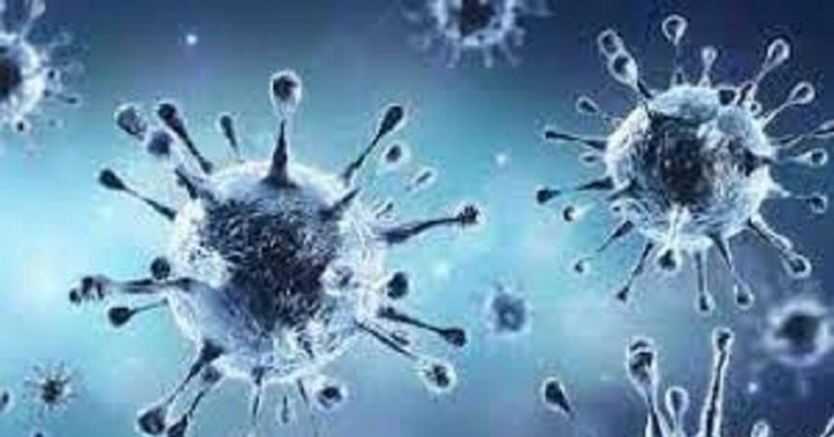 இன்று ஒரே நாளில் 2,487 பேருக்கு கொரோனா.. 13 பேர் பலி.. இன்றைய பாதிப்பு நிலவரம்..