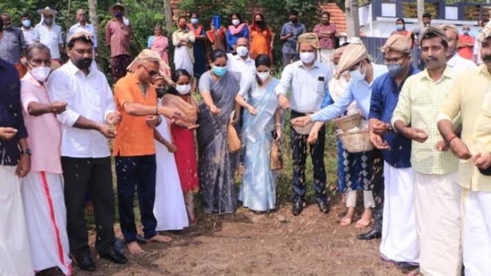 Bar Association sowing paddy in a wasteland in Alappuzha Bar Association sowing paddy in a wasteland in Alappuzha