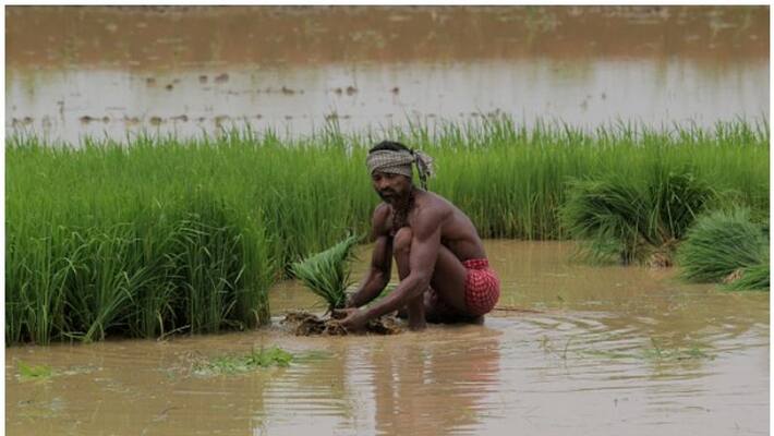Farmer Dalit Labour Conference on 2nd Nov in Mysuru snr Farmer Dalit Labour Conference on 2nd Nov in Mysuru snr
