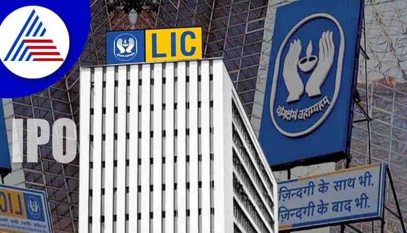 lic ipo listing : LIC share price falls on debut What policyholders, investors can do now