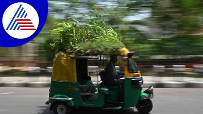 Delhi Driver Mahendra Kumar converted his auto in literal garden on its roof for customers cool ride ckm Delhi Driver Mahendra Kumar converted his auto in literal garden on its roof for customers cool ride ckm