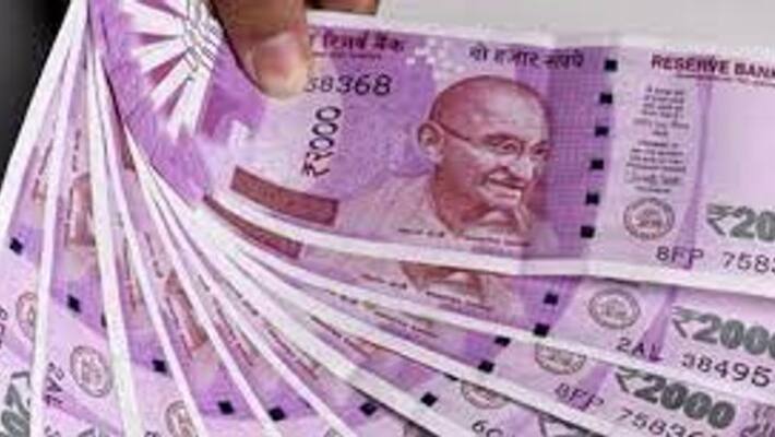 Investment of 2 lakh rupees and earning 1 lakh rupees every month know how to do papad business Investment of 2 lakh rupees and earning 1 lakh rupees every month know how to do papad business