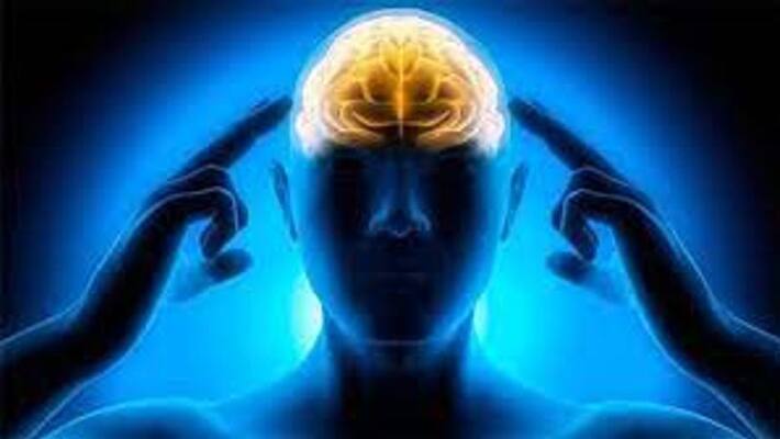 study claims that people with high vitamin d have better cognitive health study claims that people with high vitamin d have better cognitive health