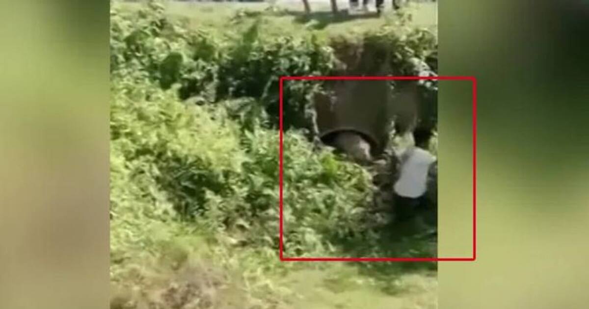 போட்டோ எடுக்க அருகில் சென்ற நபர்.. ஒரே போடு போட்ட சிறுத்தை... அப்புறம் என்ன ஆச்சு தெரியுமா?