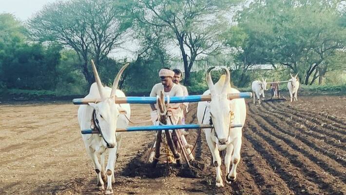 Commission Report Against Traditional Crop System in Karnataka grg Commission Report Against Traditional Crop System in Karnataka grg