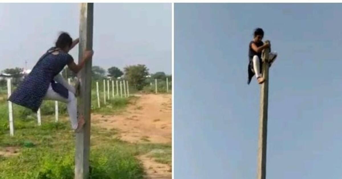  முதல்முறையாக பெண் லைன் மேன் நியமனம்... ! போராடி சாதித்து காட்டிய இளம்பெண்...!