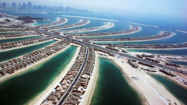 UAE bans wheat exports from India UAE bans wheat exports from India