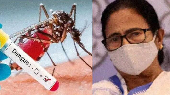 The number of dengue cases is increasing, The number of infected reached 15 thousand bpsb The number of dengue cases is increasing, The number of infected reached 15 thousand bpsb