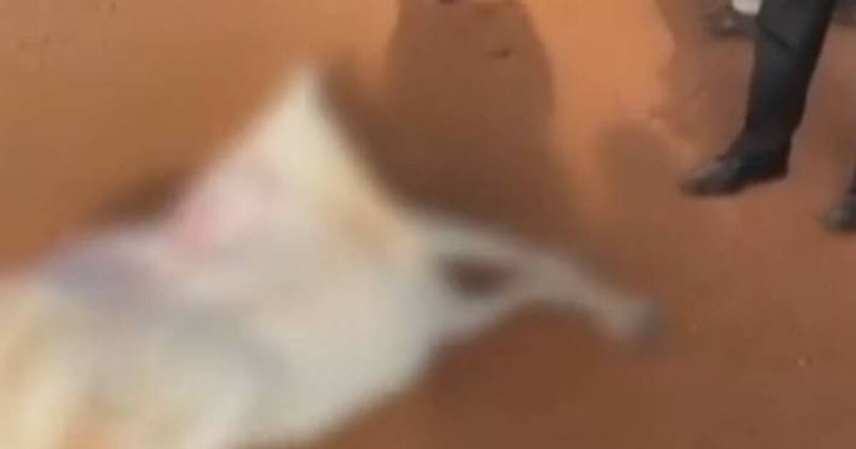 கரும்புலி வேட்டையர்கள் துப்பாக்கி சூடு... மூன்று காவலர்கள் உயிரிழப்பு... ம.பி.யில் பரபரப்பு..!