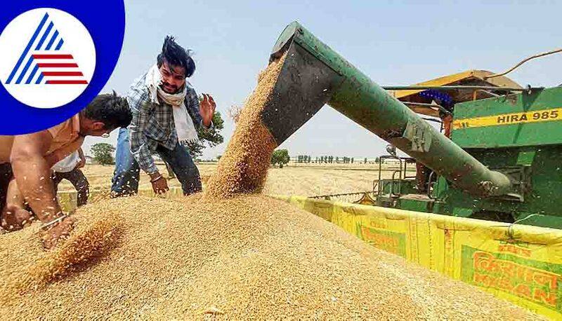 wheat Export Ban : G-7 likely to increase pressure on India to reverse wheat export ban