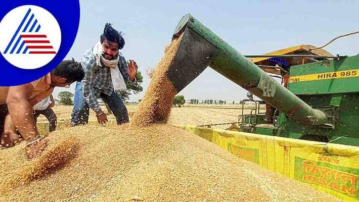 India Bans Wheat Export With Immediate Effect to Manage Rising Inflation details here India Bans Wheat Export With Immediate Effect to Manage Rising Inflation details here