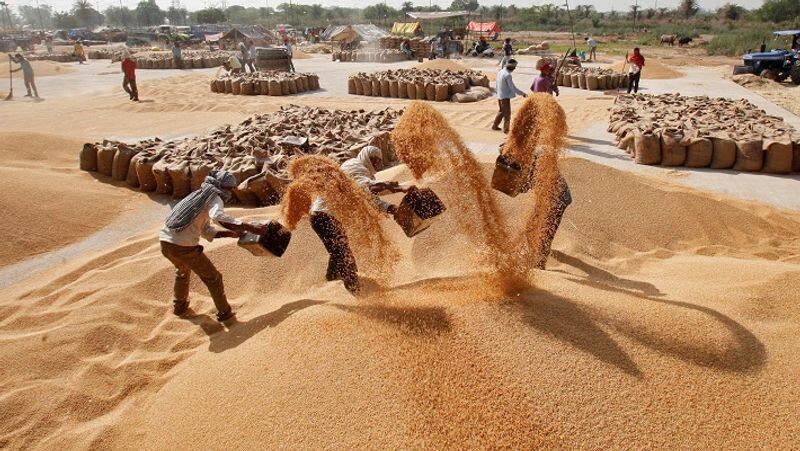 Wheat procurement extended till May 31 in 6 states