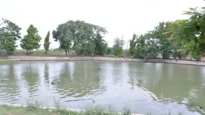 Krishna River Water Fills the Lakes at Indi in Vijayapura grg Krishna River Water Fills the Lakes at Indi in Vijayapura grg