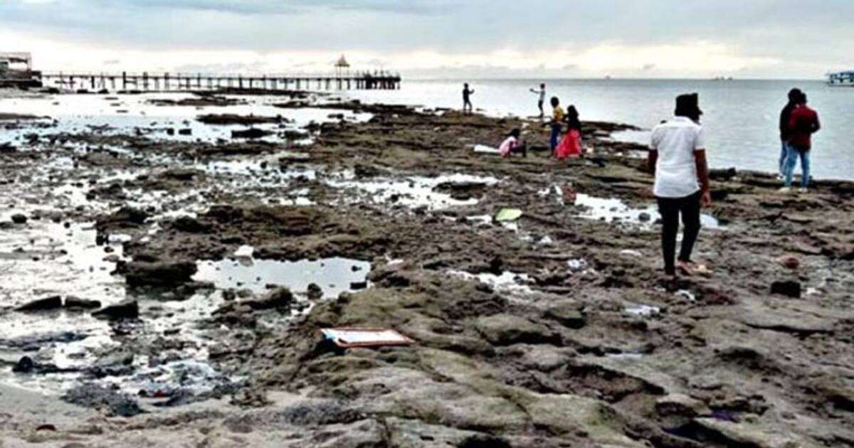 ராமேஸ்வரத்தில் 50 அடி தூரத்திற்கு கடல் உள்வாங்கியதால் பரபரப்பு.. அதிர்ச்சியில் பக்தர்கள்.!