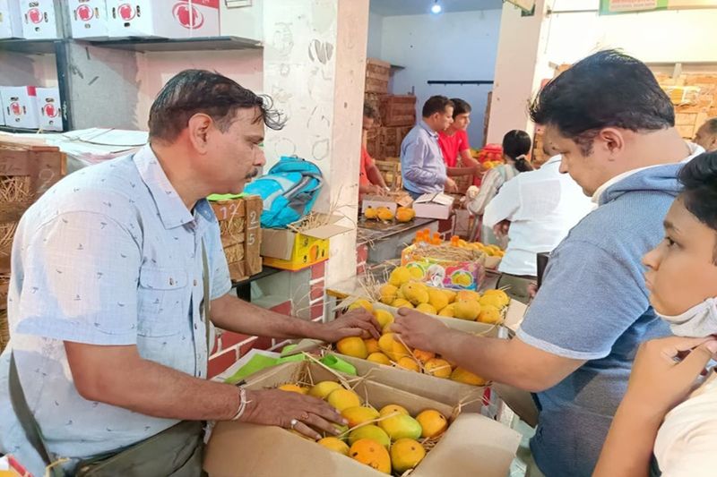 mangoes onlineதோட்டத்திலிருந்து வீட்டுக்கு; ரசாயனமில்லாத சுவையான