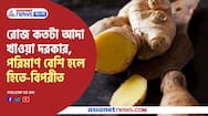 Excessive ginger eating may harm for your health