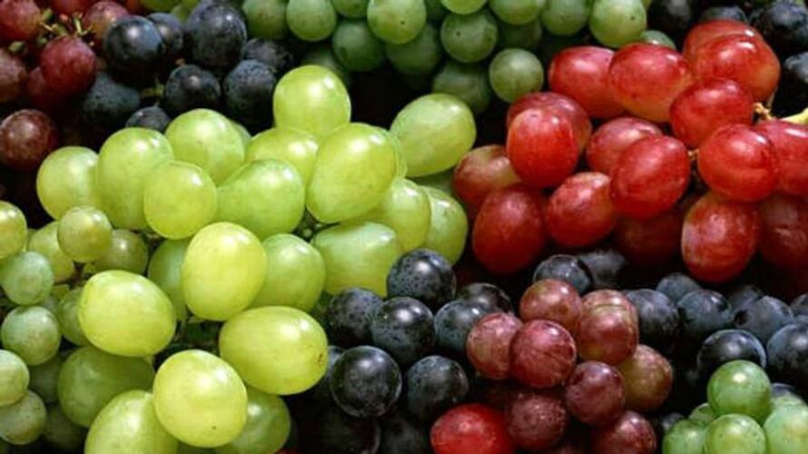 can type 2 diabetics have grapes rse can type 2 diabetics have grapes rse